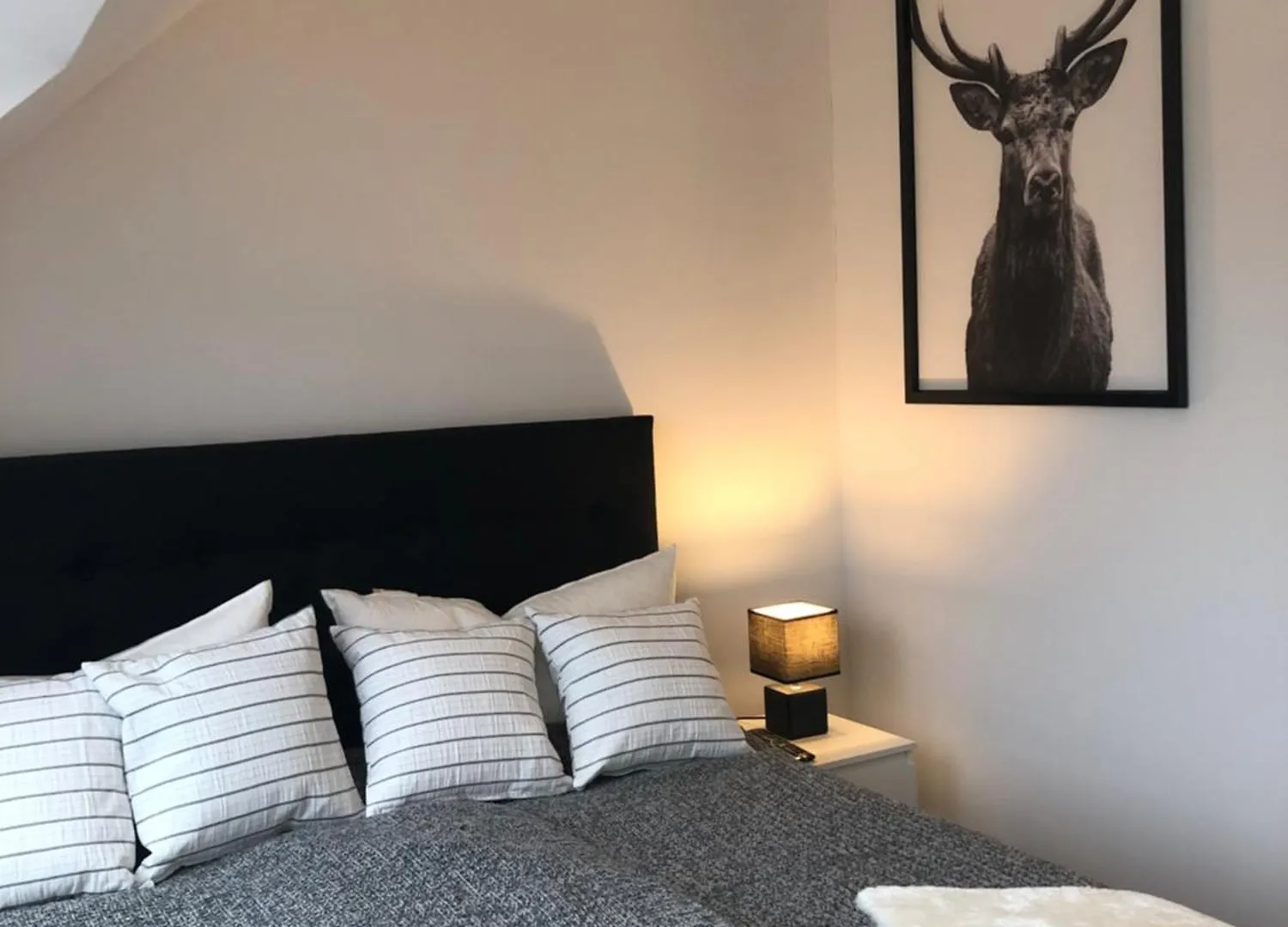 Newtown Apartments BRE